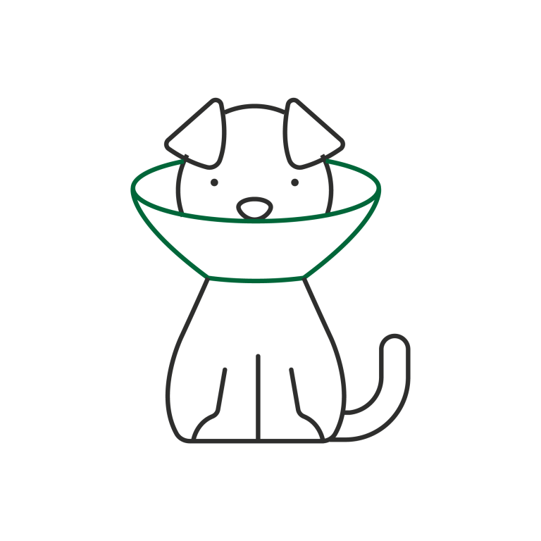 Tamborine Mountain Vet - dog in cone icon